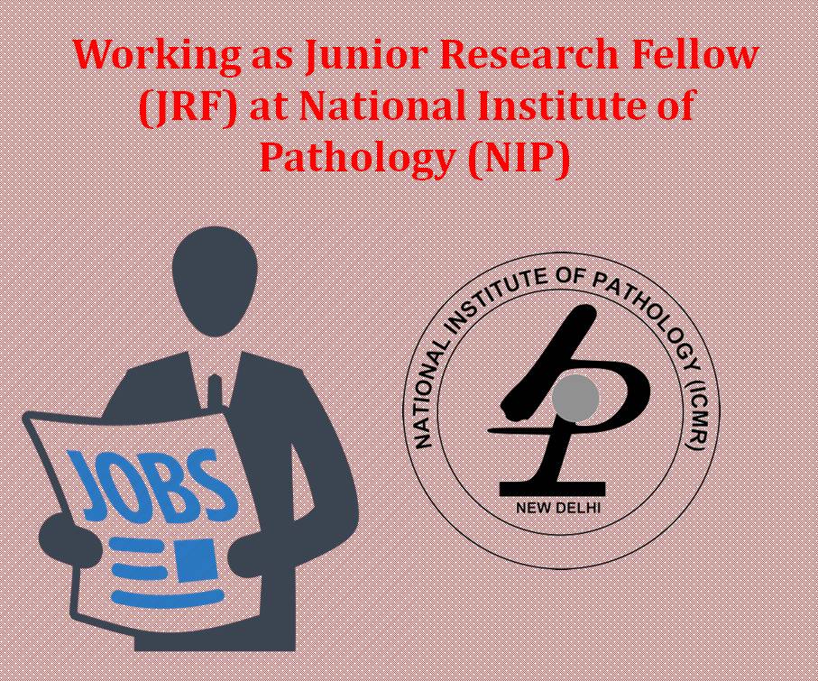 Working as Junior Research Fellow (JRF) at National Institute of Pathology (NIP)