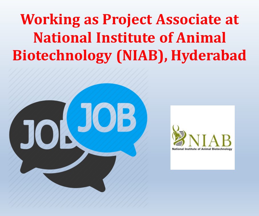 Working as Project Associate at National Institute of Animal Biotechnology  (NIAB), Hyderabad | GPAT DISCUSSION CENTER